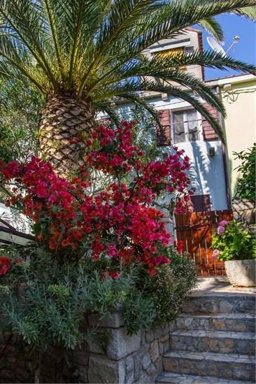 Apartment Julia Veli Lošinj Kültér fotó